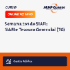 Explore o universo do SIAFI e Tesouro Gerencial em nossa Semana (2 X 1) do SIAFI. Este curso intensivo oferece um mergulho nas práticas orçamentárias